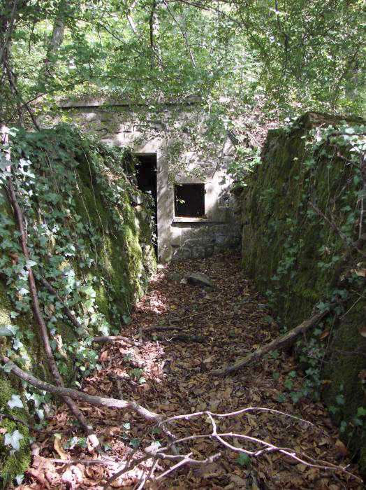 Ligne Maginot - BERGBUSCH (POSTE DE SECOURS DU 167° RIF) - (Poste de Secours) - Chemin d'accès.