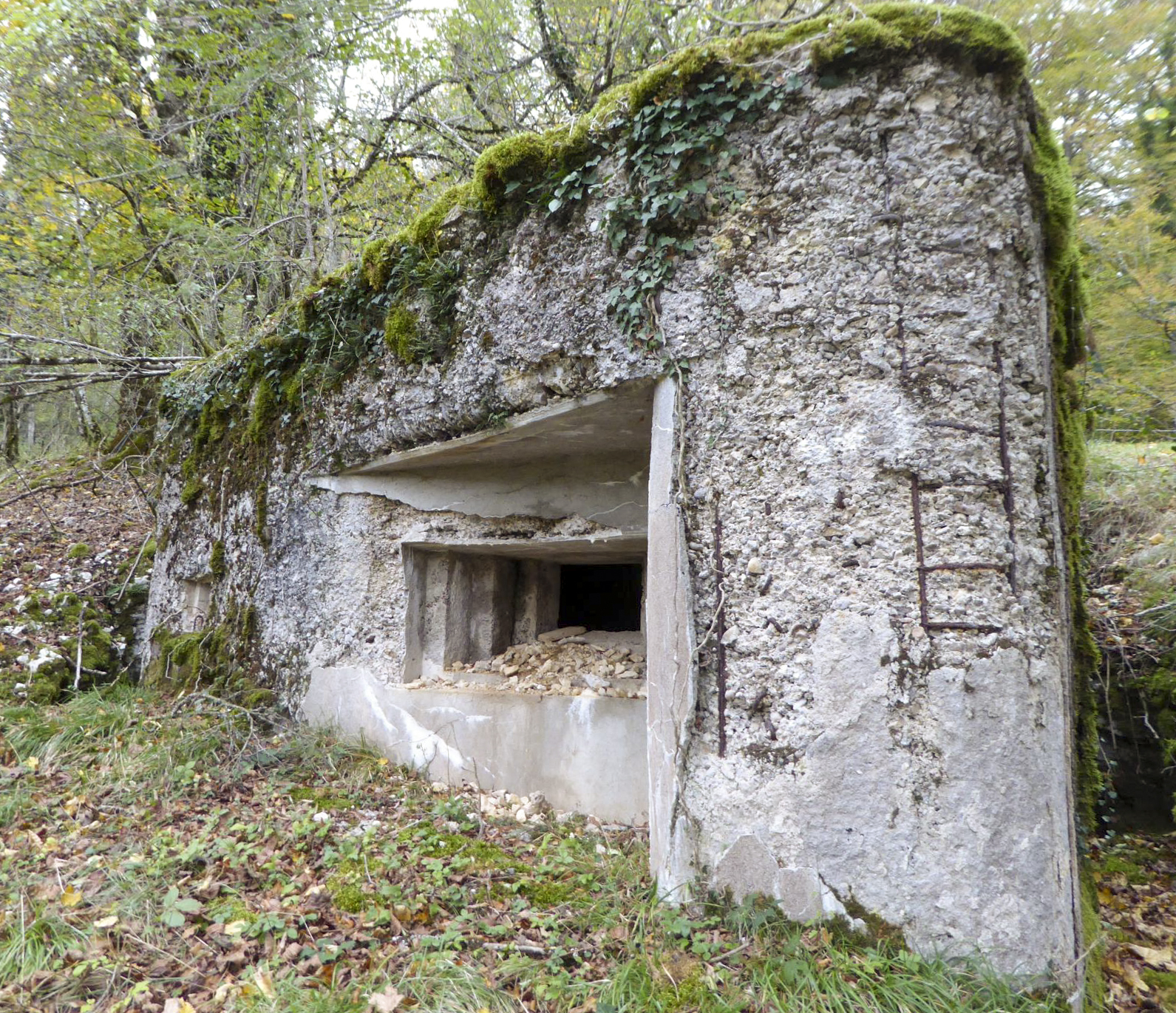 Ligne Maginot - CHARMAUVILLERS - (Blockhaus pour canon) - 