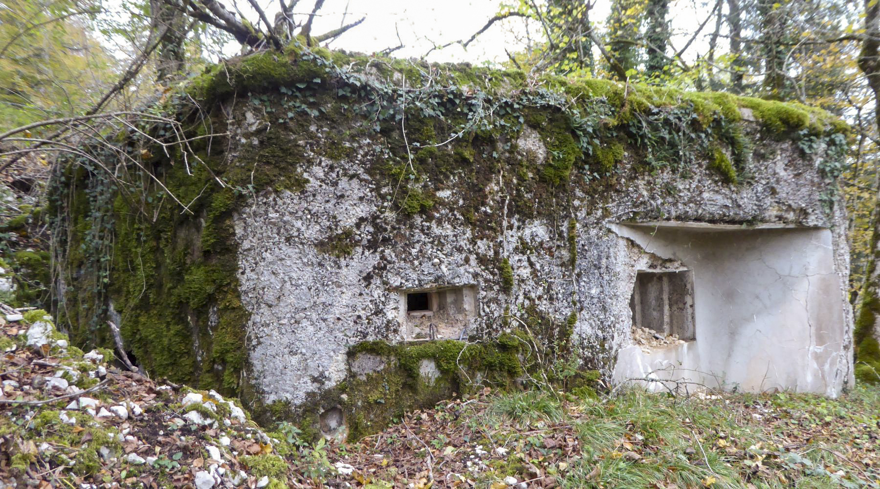 Ligne Maginot - CHARMAUVILLERS - (Blockhaus pour canon) - 