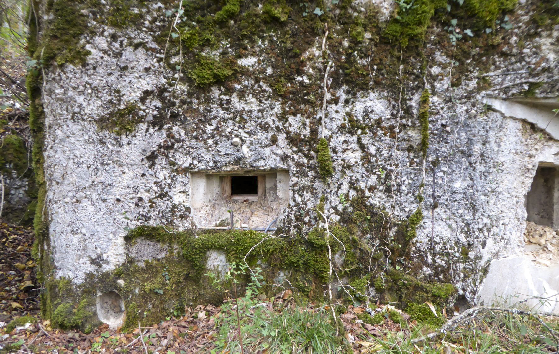 Ligne Maginot - CHARMAUVILLERS - (Blockhaus pour canon) - 