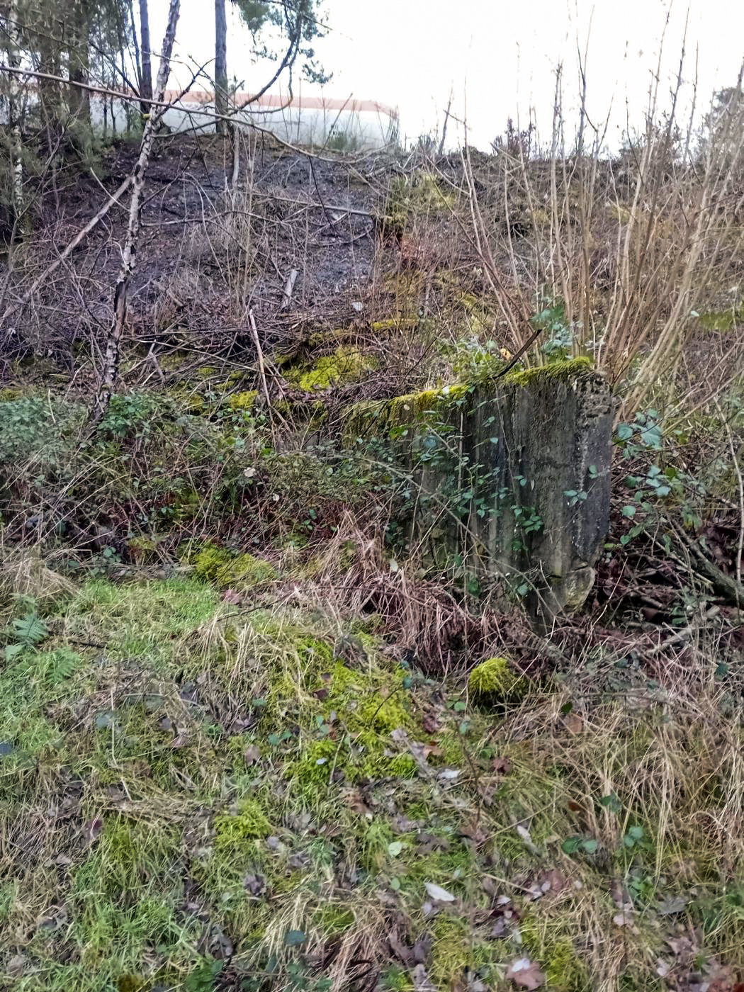 Ligne Maginot - FERME GRUENHOF - (Poste GRM - Maison Forte) - 