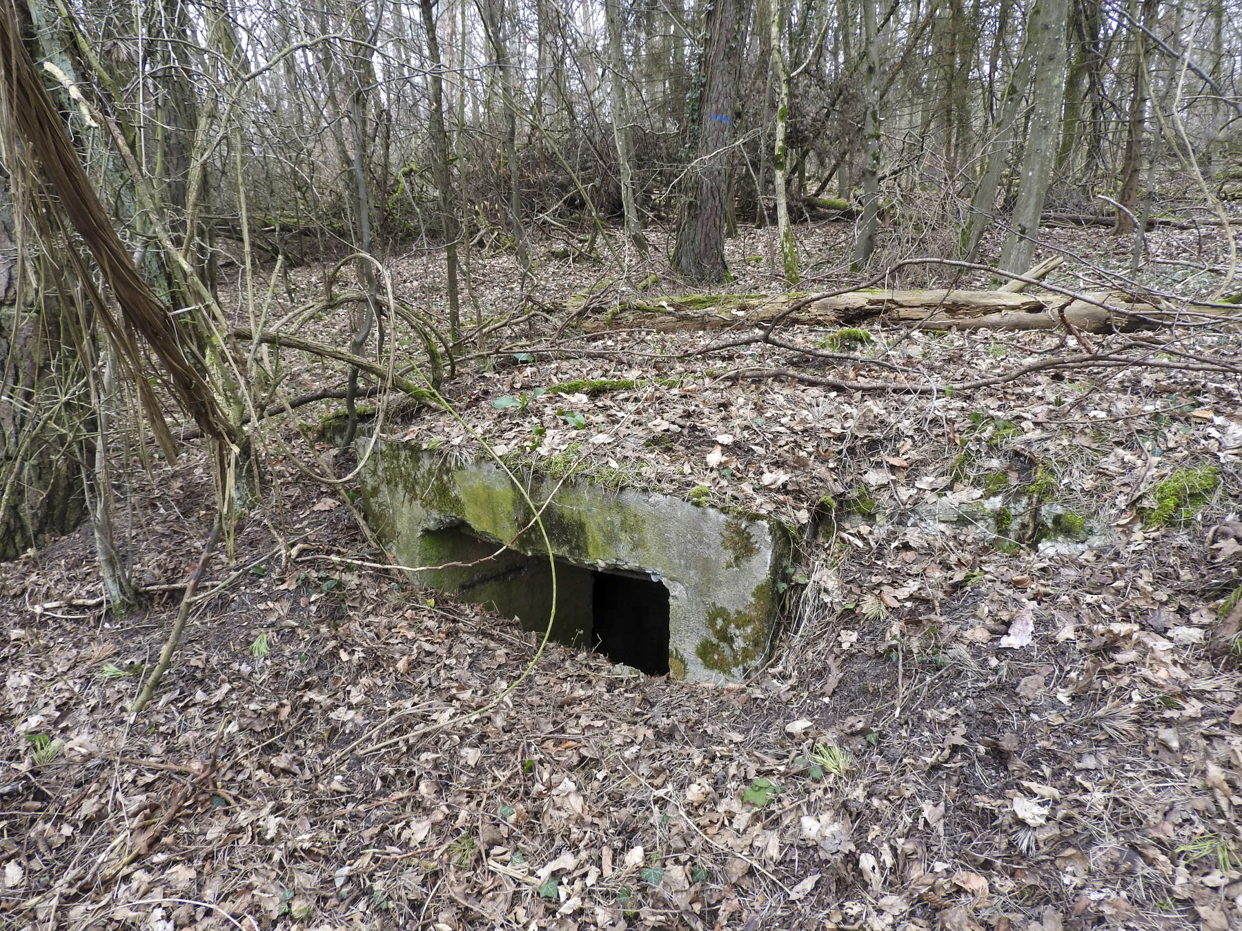 Ligne Maginot - WELSCHENBERG OUEST 2 - (Blockhaus pour arme infanterie) - Une des ouvertures de tir.
