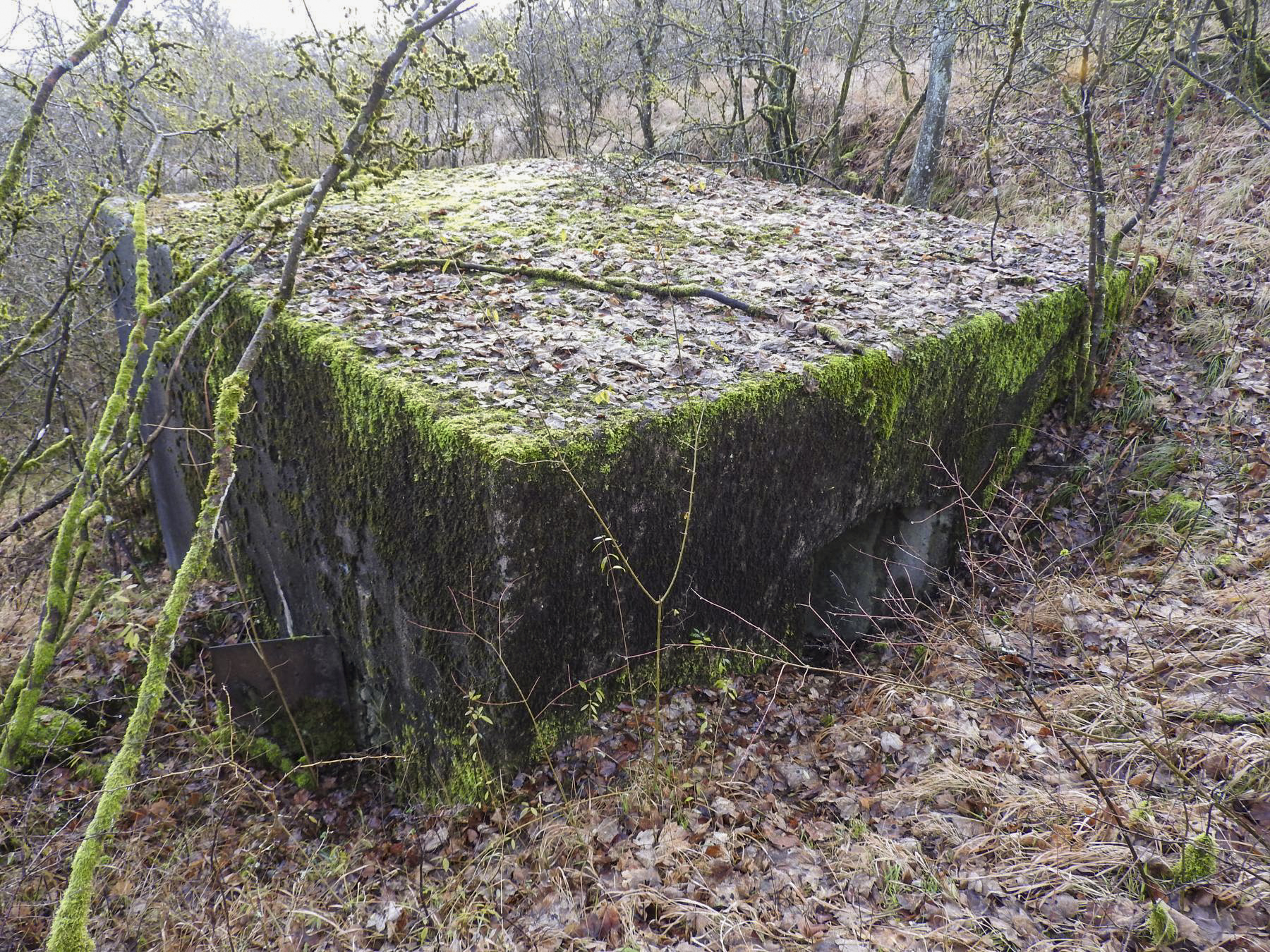 Ligne Maginot - BB376 - (Blockhaus pour canon) - La façade arrière du blockhaus.