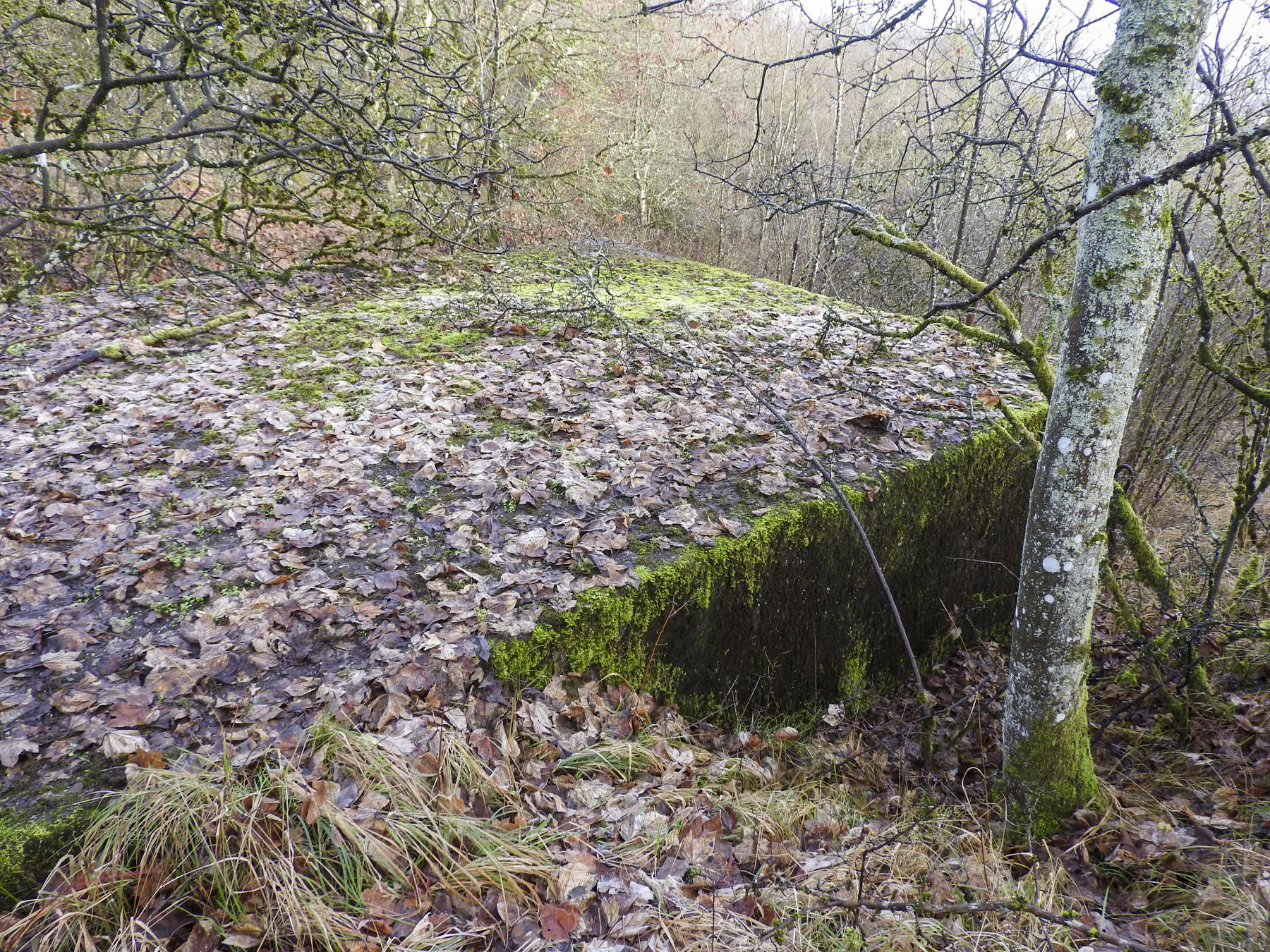 Ligne Maginot - BB376 - (Blockhaus pour canon) - Le dessus du blockhaus.