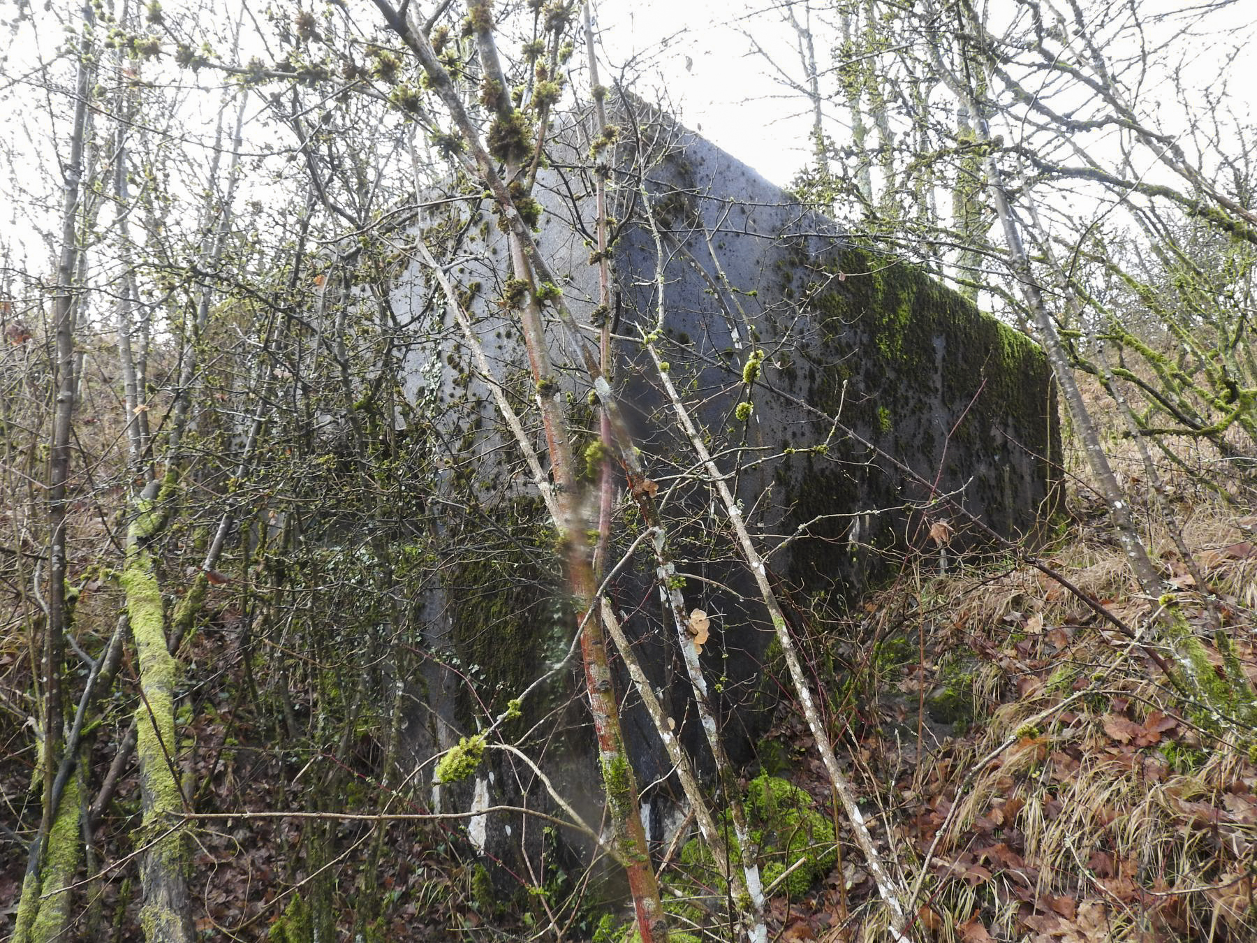 Ligne Maginot - BB376 - (Blockhaus pour canon) - La façade de tir.