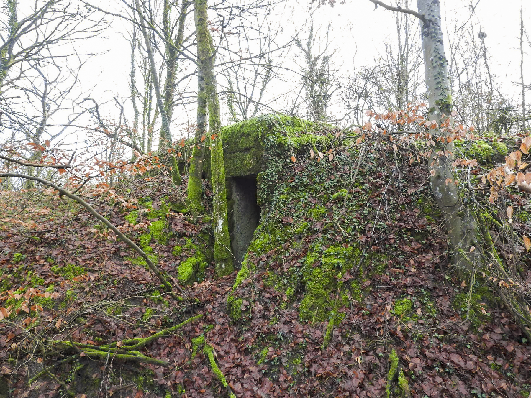 Ligne Maginot - BOIS DE KLANG NORD 4 - (Observatoire d'infanterie) - L'entrée de l'observatoire.