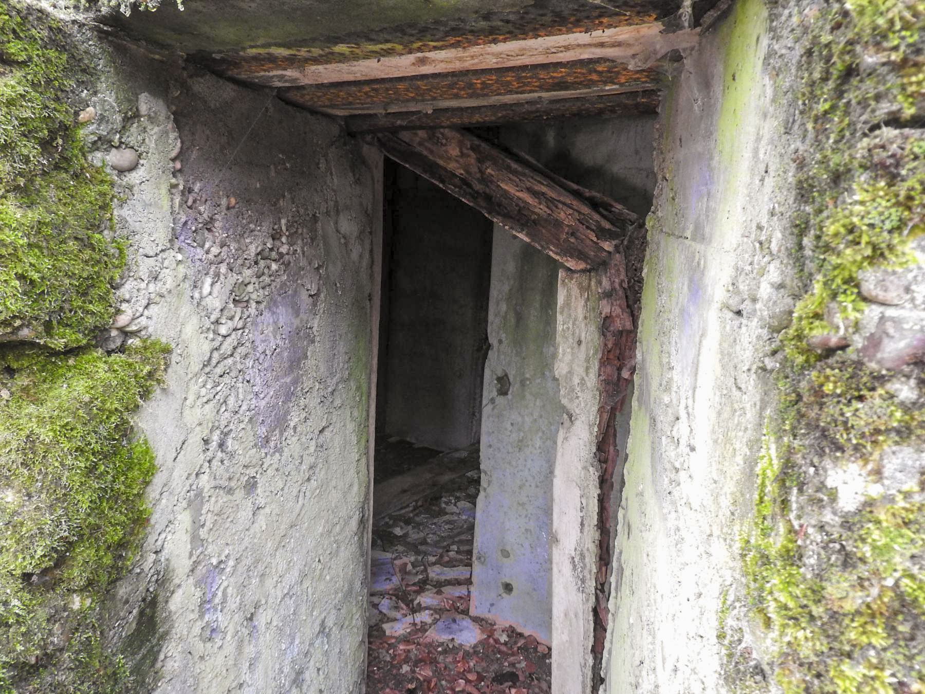 Ligne Maginot - BOIS DE KLANG NORD 4 - (Observatoire d'infanterie) - L'entrée de l'observatoire. Une partie du coffrage en bois est encore présent.