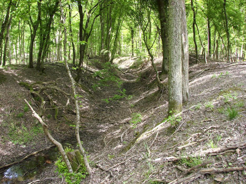 Ligne Maginot - HOMBOURG-BUDANGE - (Position ALVF) - Dernier épi visible