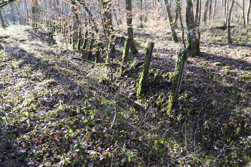 Ligne Maginot - MOORBUSCH - (Obstacle antichar) - Les restes du fossé.