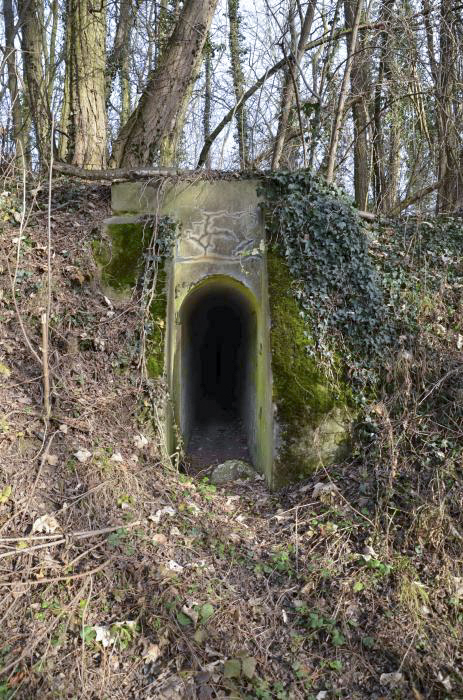 Ligne Maginot - T768 - PA DU LINSENBERG 2 - (Cuve pour arme d'infanterie) - Entrée coté route
Entrée à niveau avec la route, dans le talus.