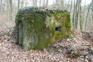 Ligne Maginot - FM18 - ROUTE DE LA VERRERIE 3 - (Blockhaus pour arme infanterie) - Entrée et créneau latéral droit de protection rapprochée