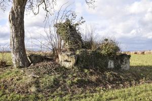 Ligne Maginot - H7 - BALTZENHEIM NORD - (Blockhaus pour arme infanterie) - 