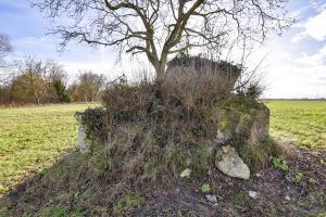 Ligne Maginot - H7 - BALTZENHEIM NORD - (Blockhaus pour arme infanterie) - 