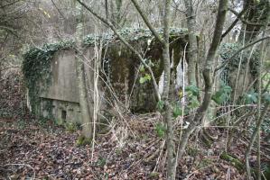 Ligne Maginot - BB236 - GALBERG SUD - (Blockhaus pour arme infanterie) - Créneau latéral