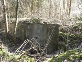 Ligne Maginot - MUEHLENBACH 3 - (Blockhaus pour canon) - L'entrée latérale pour personnel.