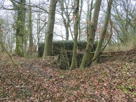 Ligne Maginot - ALTCOUPE - (Blockhaus pour arme infanterie) - L'environnement du blockhaus