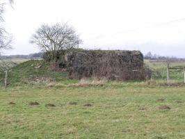 Ligne Maginot - FERME DE FREUDENBERG 1 - (Blockhaus pour arme infanterie) - L'arrière du blockhaus vu depuis la lisière du bois. Il semble remblayé.