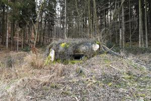 Ligne Maginot - PFAFFENBRONN 3 - (Blockhaus pour arme infanterie) - 