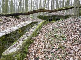 Ligne Maginot - GROS BOIS (160° RIF) - (PC de Sous-Secteur) - Le premier bâtiment.
Noter la présence d'isolateurs dans l'arbre couché.