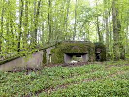 Ligne Maginot - 108 - STRENGWALD NORD - (Casemate d'infanterie - Double) - Vue de l'entrée et du second créneau pour mitrailleuse