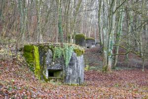 Ligne Maginot - OLTINGUE NORD 1 - (Blockhaus pour arme infanterie) - Avec la casemate d'artillerie de Oltingue au second plan