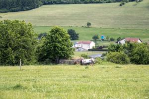 Ligne Maginot - SCHAEFFEREI 2 - (Blockhaus pour canon) - 