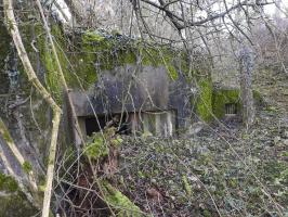 Ligne Maginot - VERTH - (Blockhaus pour canon) - La façade de tir du blockhaus pour un canon anti-char et un FM.