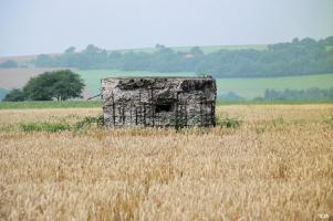 Ligne Maginot - WITZ 1 (Blockhaus pour arme infanterie) - 