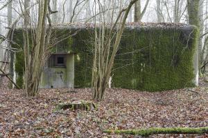 Ligne Maginot - SELTZBACH 1 - (Blockhaus pour arme infanterie) - La façade avant