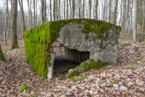 Ligne Maginot - LA GRANDE ALMETTE - (PC) - L'abri 