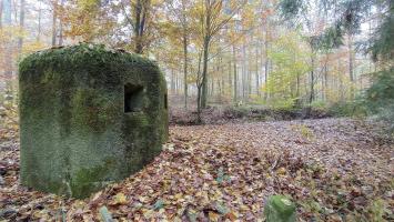 Ligne Maginot - FM6 - ZIEGELMATT - (Blockhaus pour arme infanterie) - Les deux créneaux