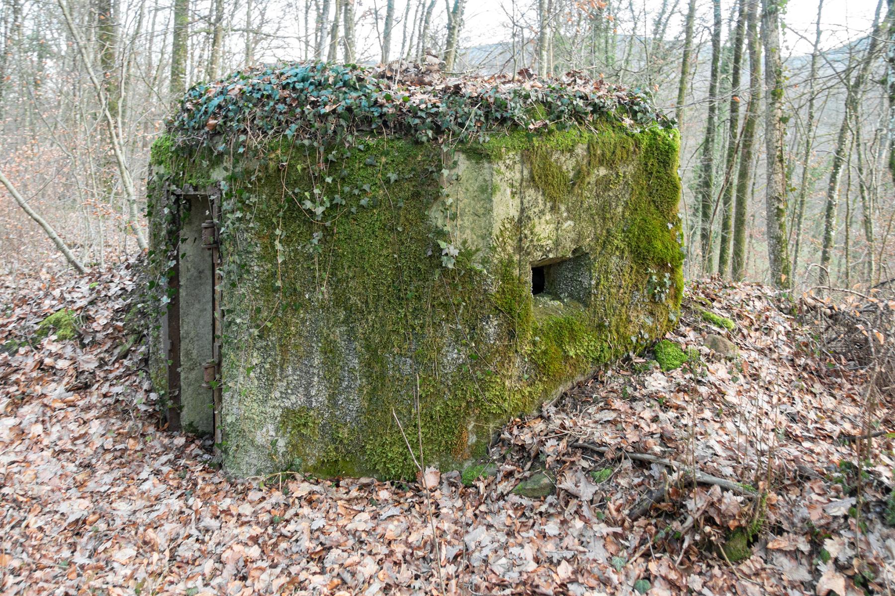 Ligne Maginot - FM18 - ROUTE DE LA VERRERIE 3 - (Blockhaus pour arme infanterie) - Entrée et créneau latéral droit de protection rapprochée