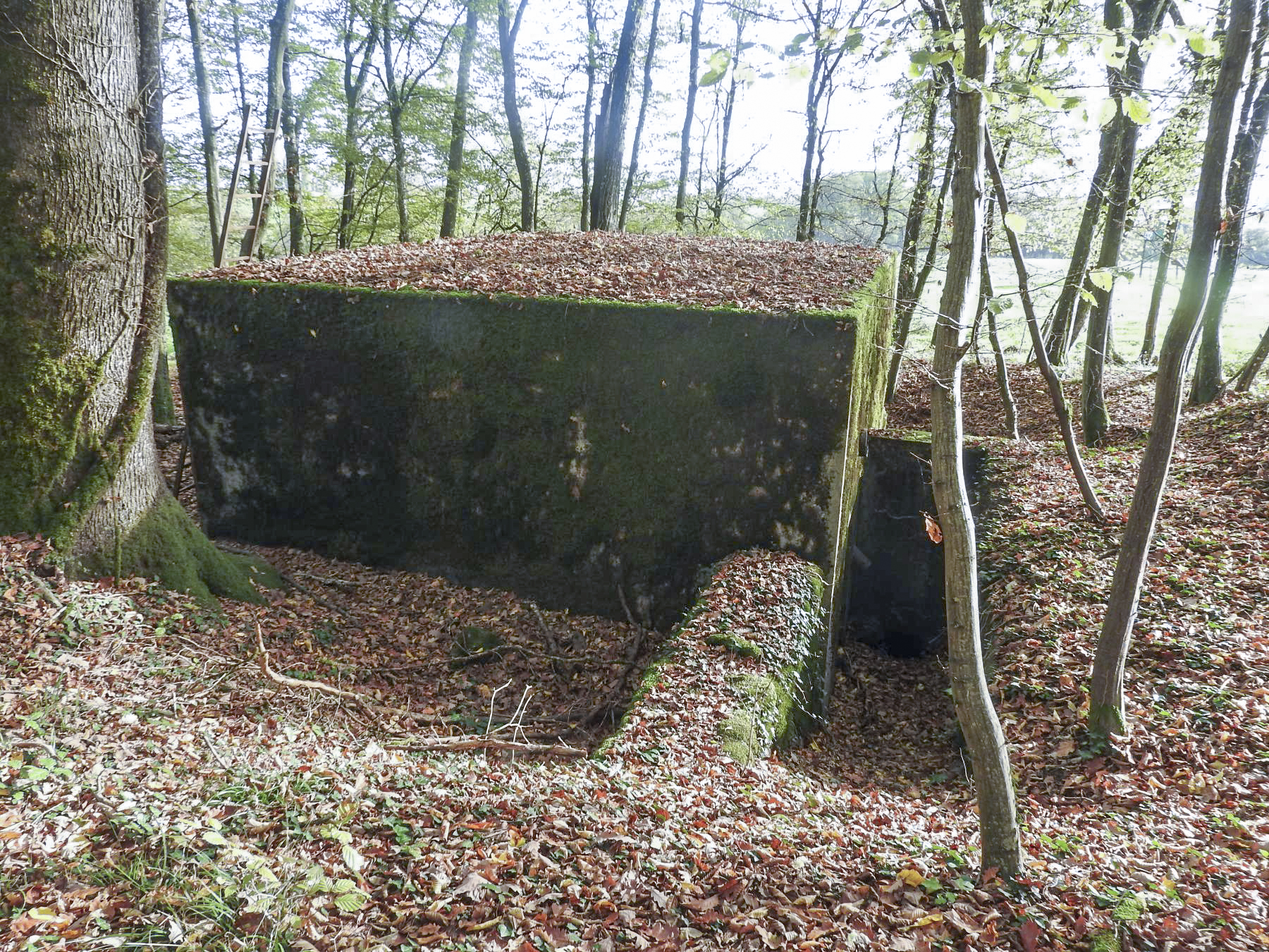 Ligne Maginot - BB35 - (Blockhaus pour arme infanterie) - L'arrière du blockhaus et son entrée à droite.