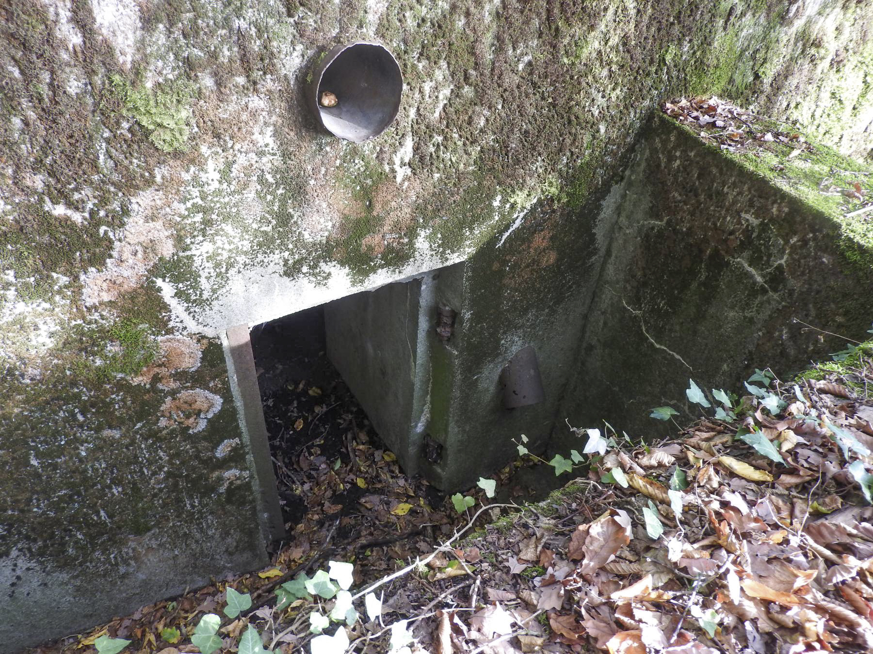 Ligne Maginot - BB35 - (Blockhaus pour arme infanterie) - L'entrée du blockhaus.