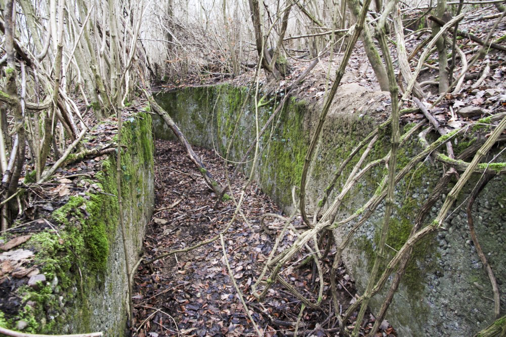 Ligne Maginot - BBO3 - (Blockhaus pour canon) - Tranchée d’accès bétonnée