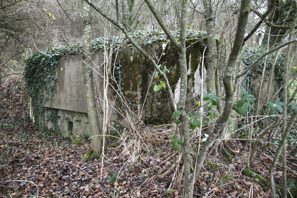 Ligne Maginot - BB236 - GALBERG SUD - (Blockhaus pour arme infanterie) - Créneau latéral