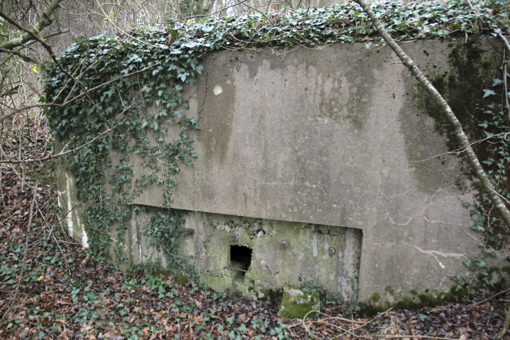 Ligne Maginot - BB236 - GALBERG SUD - (Blockhaus pour arme infanterie) - Créneau latéral