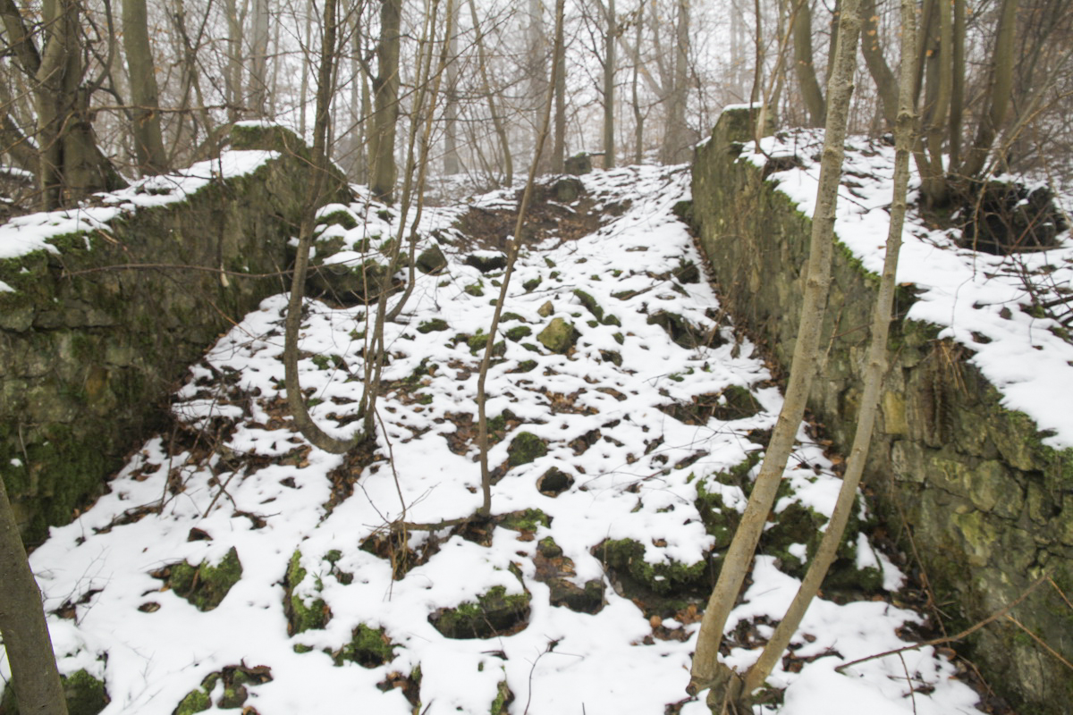 Ligne Maginot - HUHNERBUSCH (162° RIF) - (PC de Sous-Secteur) - 