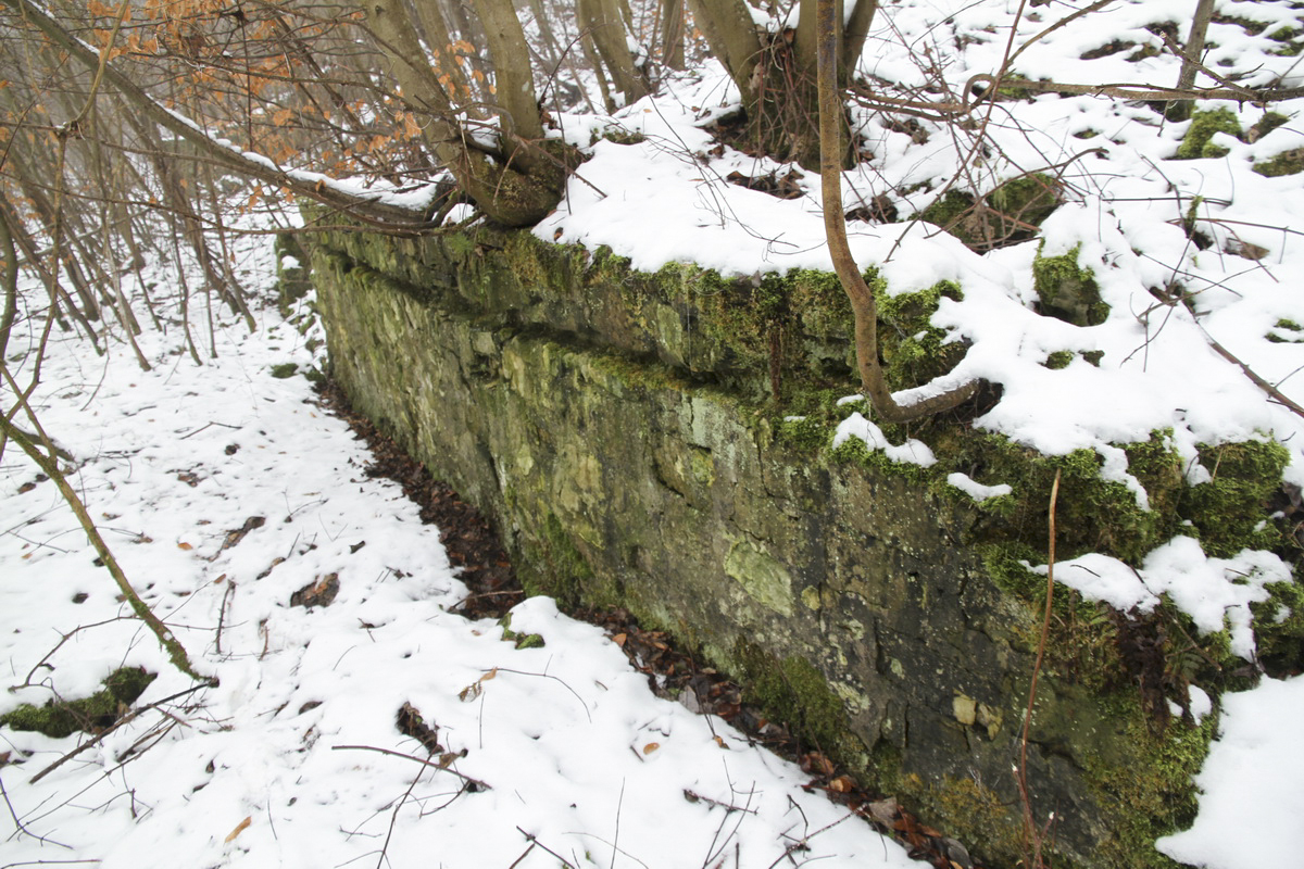 Ligne Maginot - HUHNERBUSCH (162° RIF) - (PC de Sous-Secteur) - 