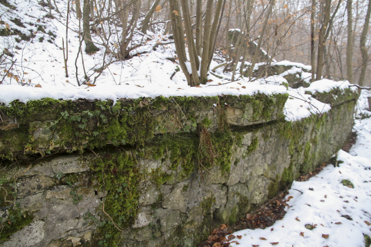 Ligne Maginot - HUHNERBUSCH (162° RIF) - (PC de Sous-Secteur) - 