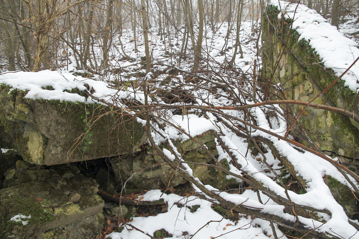 Ligne Maginot - HUHNERBUSCH (162° RIF) - (PC de Sous-Secteur) - 