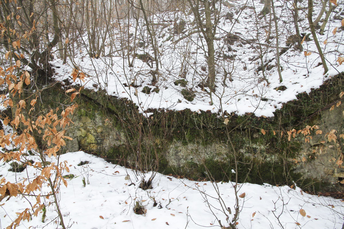 Ligne Maginot - HUHNERBUSCH (162° RIF) - (PC de Sous-Secteur) - 