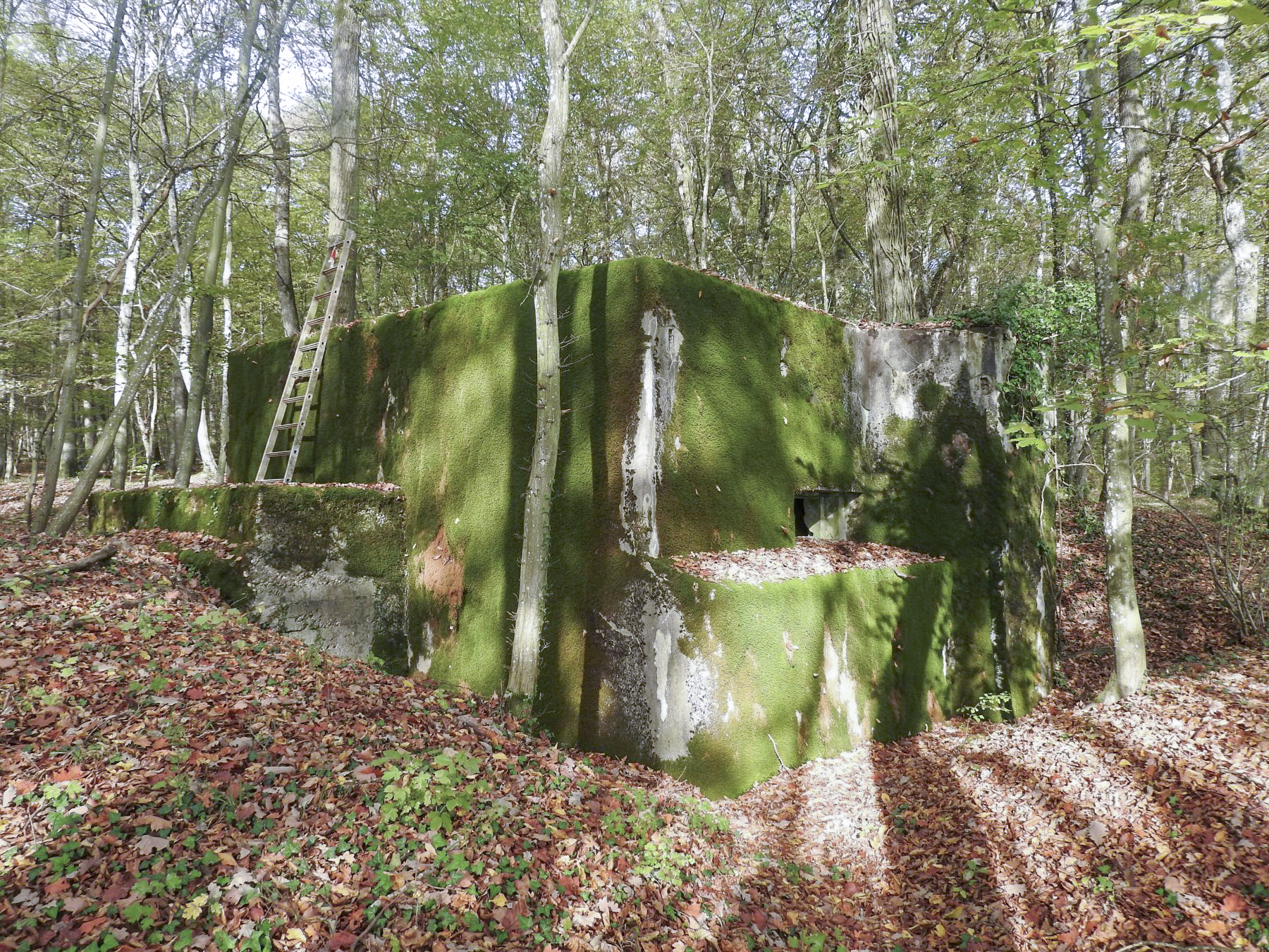 Ligne Maginot - KAISERWALD - (Blockhaus pour canon) - Le blockhaus vu du Sud.