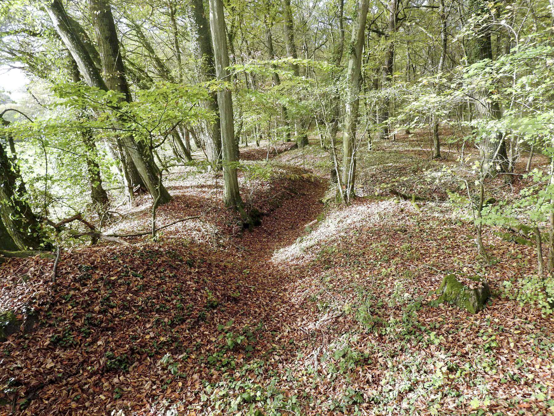 Ligne Maginot - KAISERWALD - (Blockhaus pour canon) - Le réseau de tranchées à proximité du blockhaus.