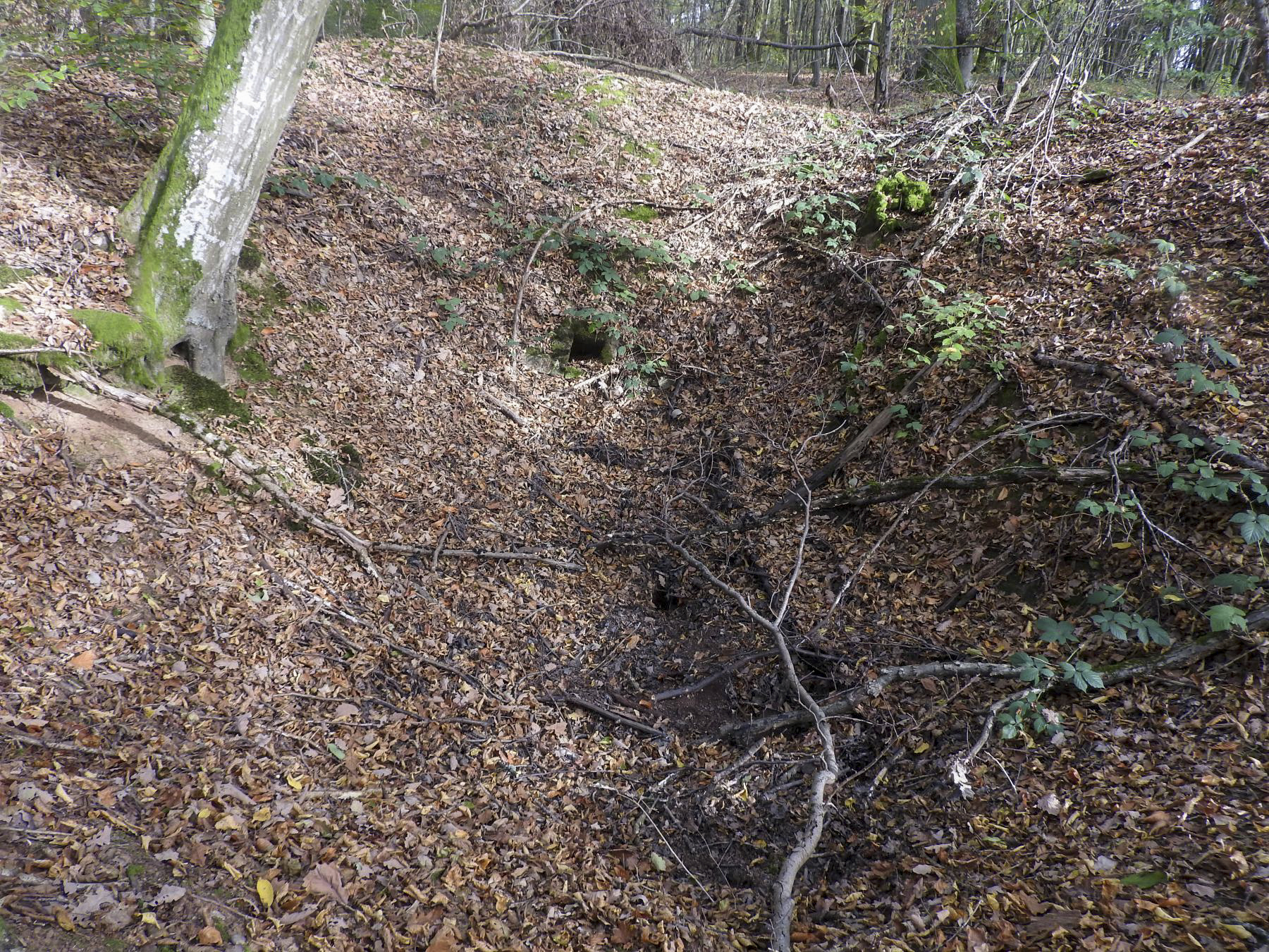 Ligne Maginot - KAISERWALD 2 - (Cuve pour arme d'infanterie) - Peut-être l'emplacement d'un abri.