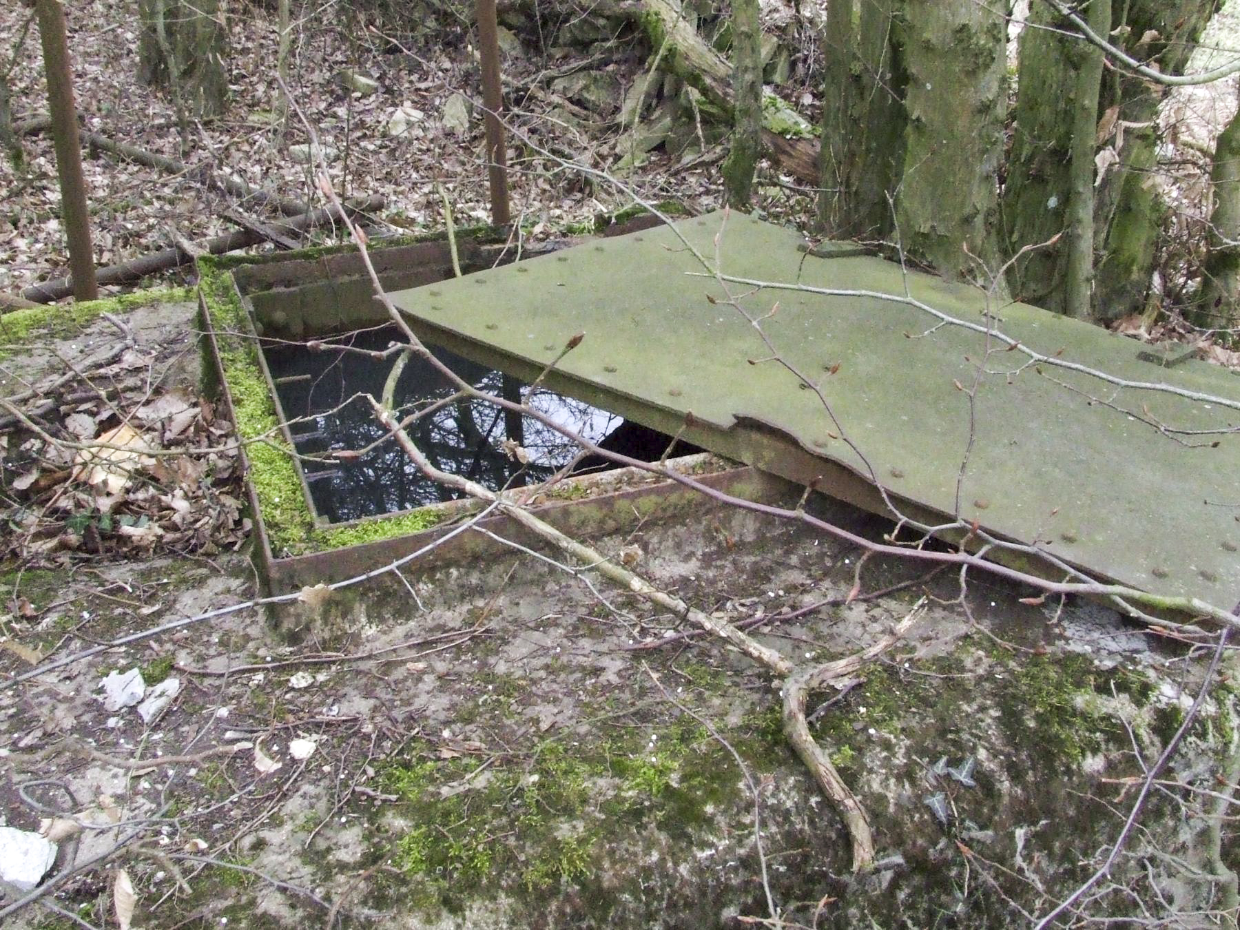 Ligne Maginot - 54A - (Chambre de coupure) - Le local est rempli d'eau.