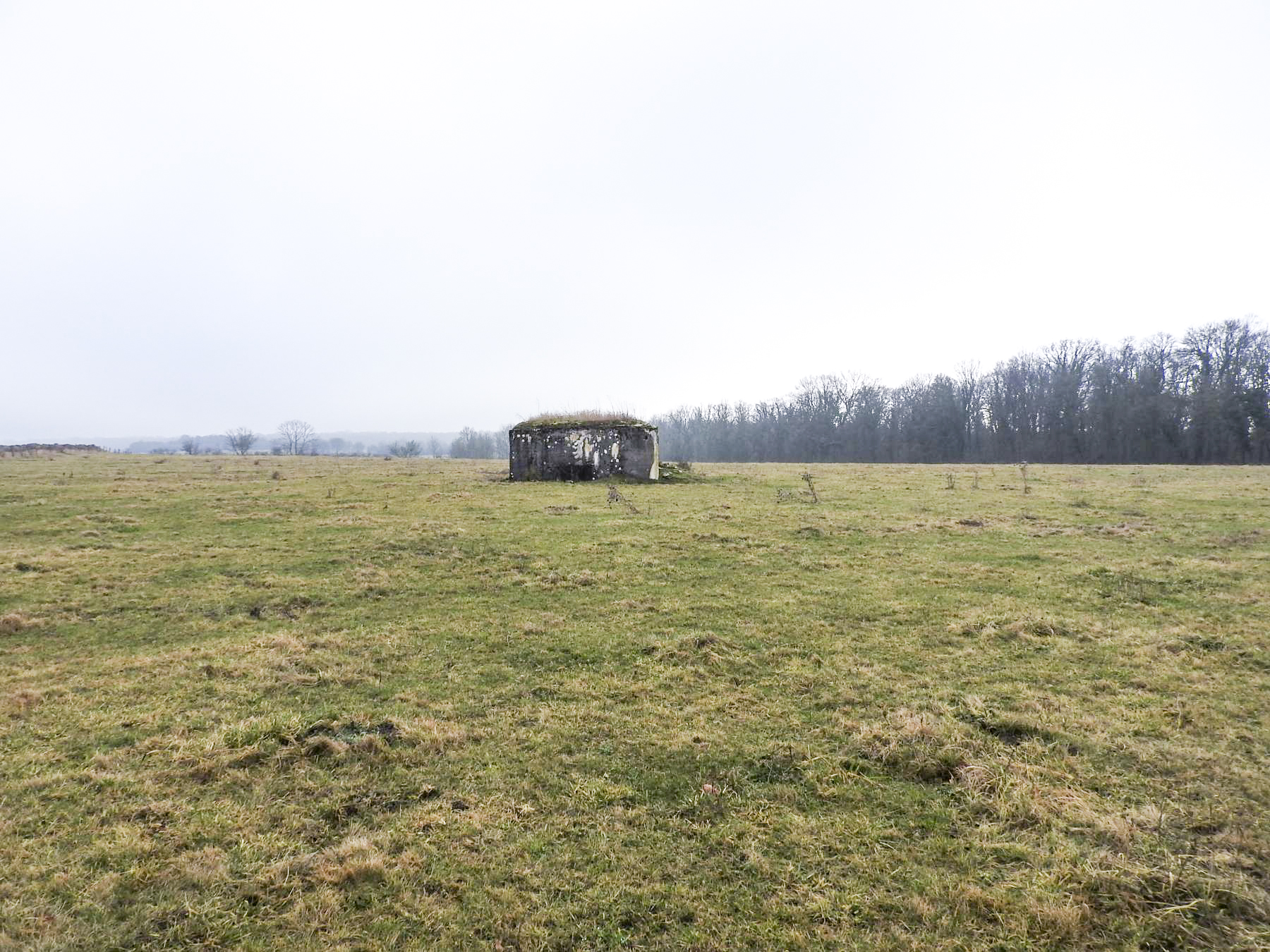 Ligne Maginot - BB21-C - KIRCHENCOUPE - (Blockhaus de type indéterminé) - Le blockhaus d'infanterie au milieu des paturages.