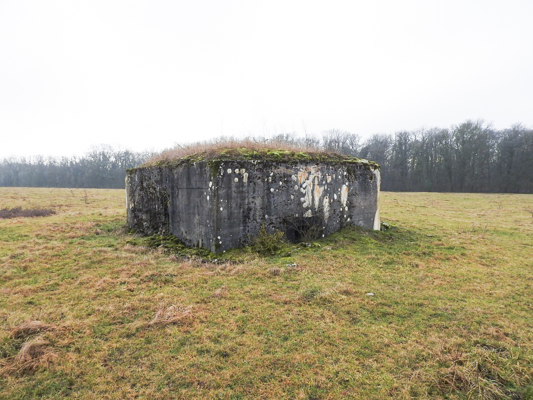 Ligne Maginot - BB21-C - KIRCHENCOUPE - (Blockhaus de type indéterminé) - La façade de tir de flanquement gauche pour mitrailleuse.