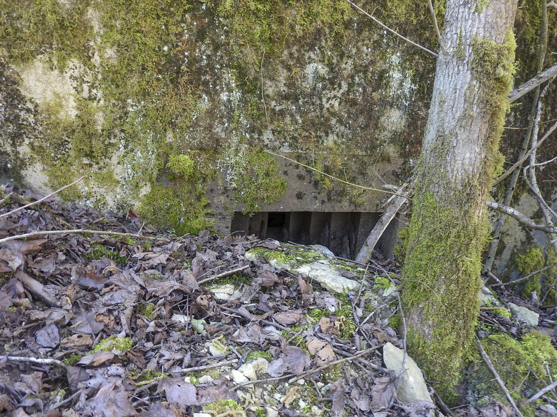 Ligne Maginot - MUEHLENBACH 2 - (Blockhaus pour arme infanterie) - Le créneau pour mitrailleuse.