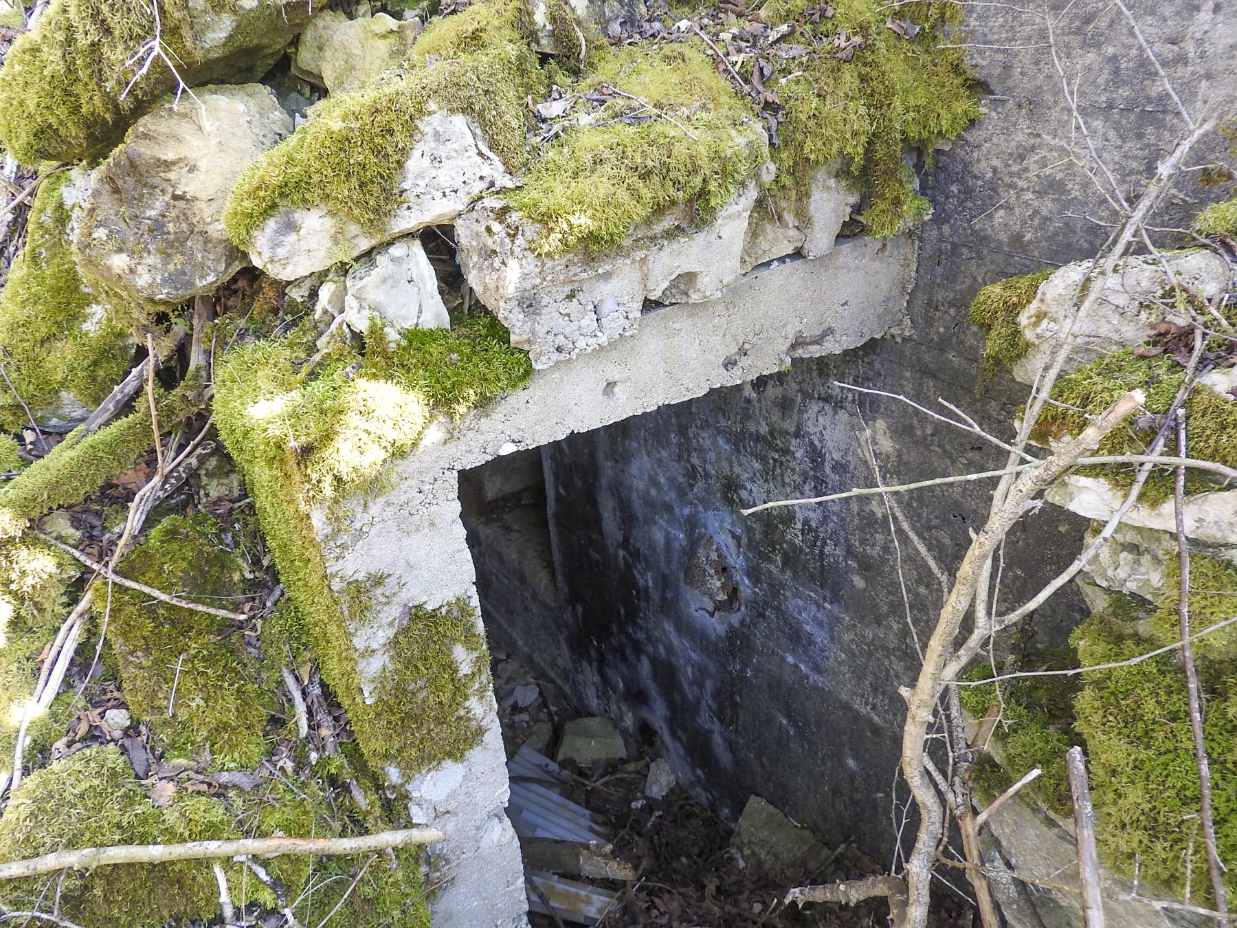 Ligne Maginot - MUEHLENBACH 2 - (Blockhaus pour arme infanterie) - L'entrée protégée par une galerie bétonnée sous un rocaillage de camouflage.